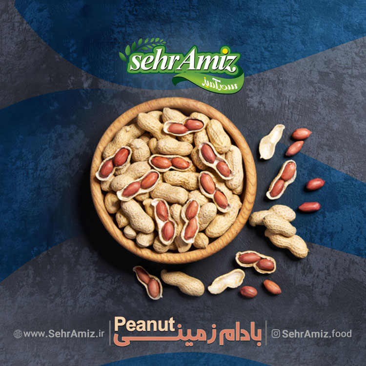 طراحی سفارشی پست معرفی محصول